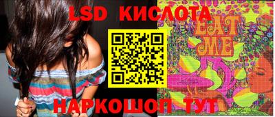 spice Славгород