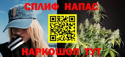 spice Славгород