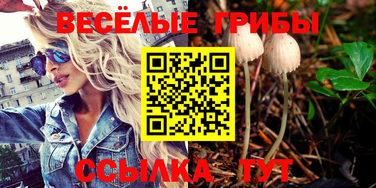 Петрозаводск  Галлюциногенные грибы GOLDEN TEACHER  Вход с VPN 